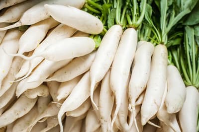 进口白萝卜农药超标5倍！食药署要查了：违规最高罚2亿元