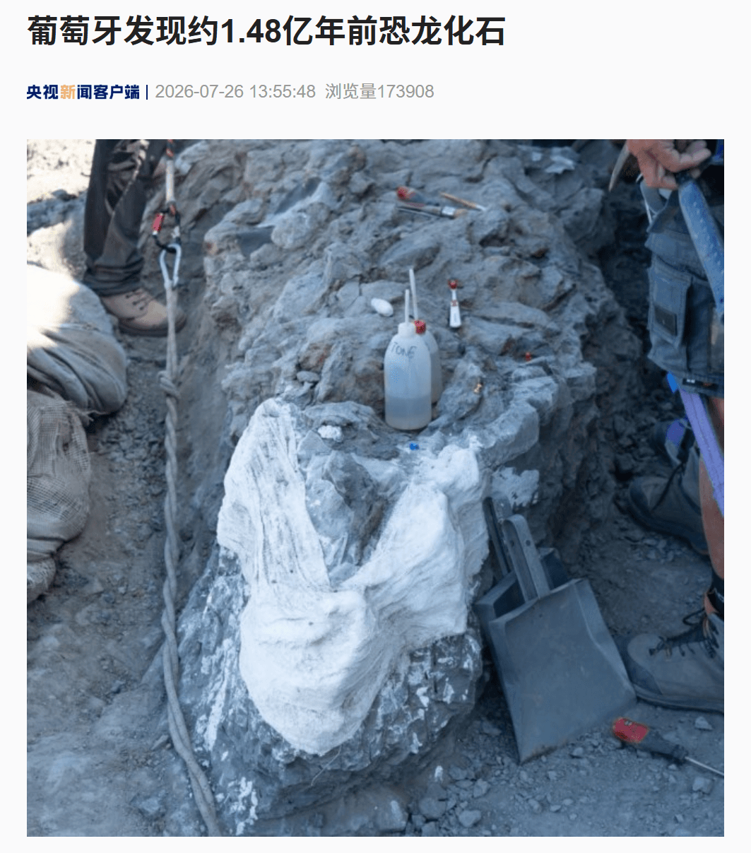 保存姿态十分罕见，葡萄牙发现约 1.48 亿年前恐龙化石